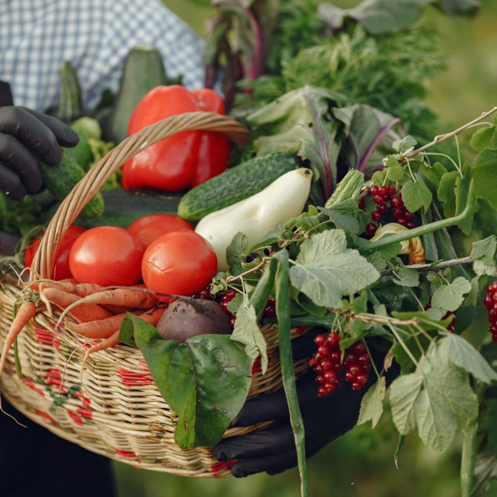 gros-plan-du-vieux-fermier-tenant-panier-legumes-homme-est-debout-dans-jardin-senior-dans-tablier-noir-la-ferme-collines-niçoises